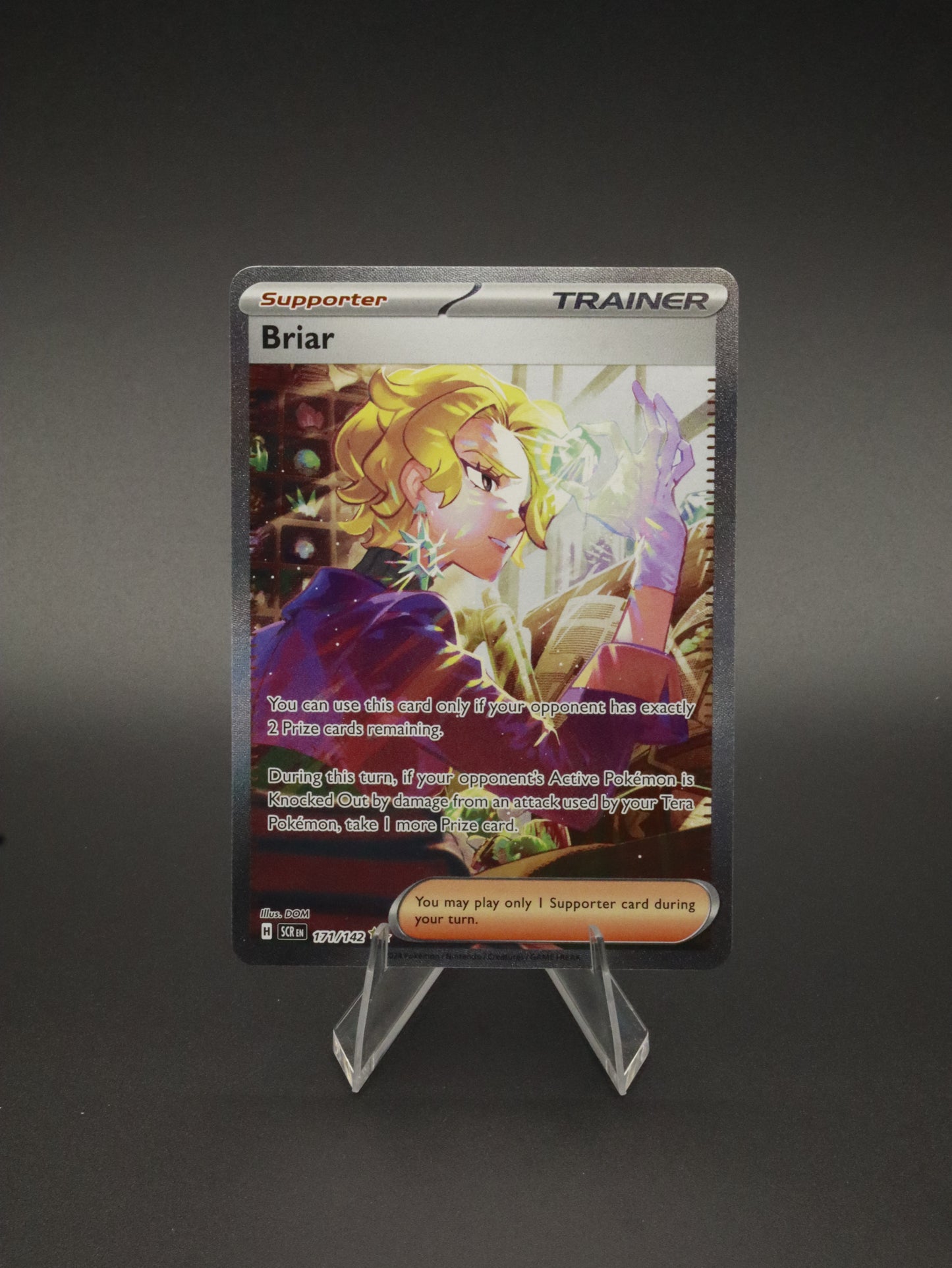Briar Special Illustration Rare 171/142